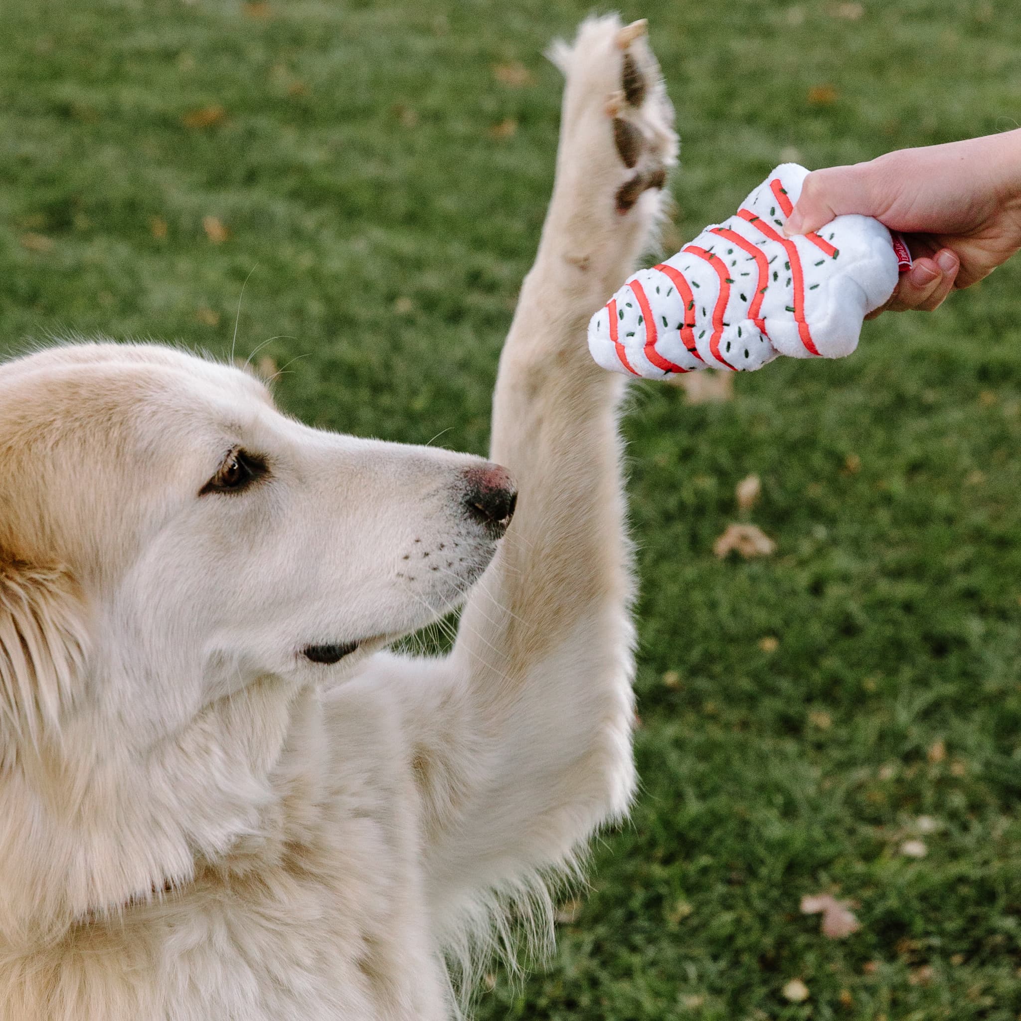 Christmas Tree Cakes® Small Dog Toy