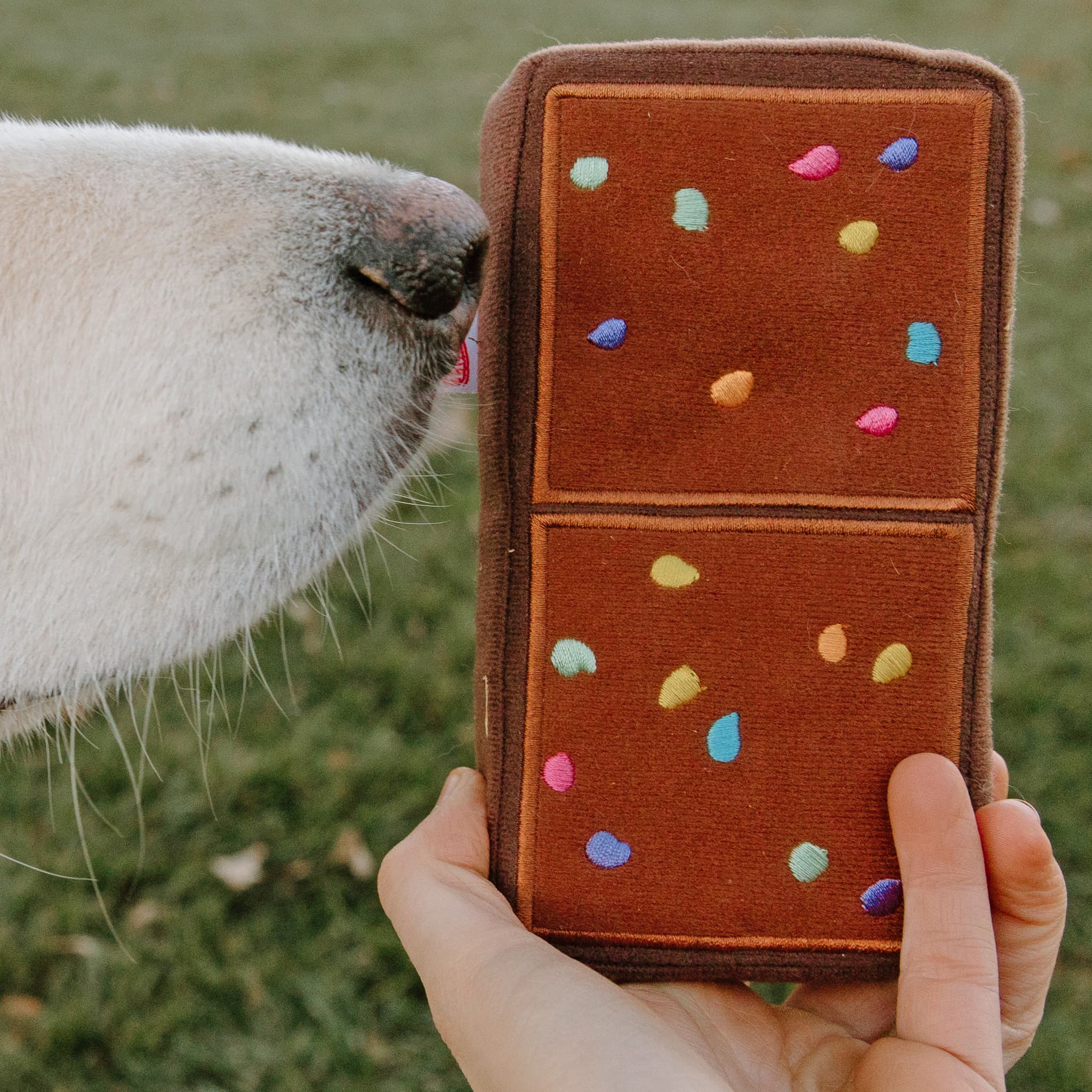 Cosmic® Brownies Small Dog Toy