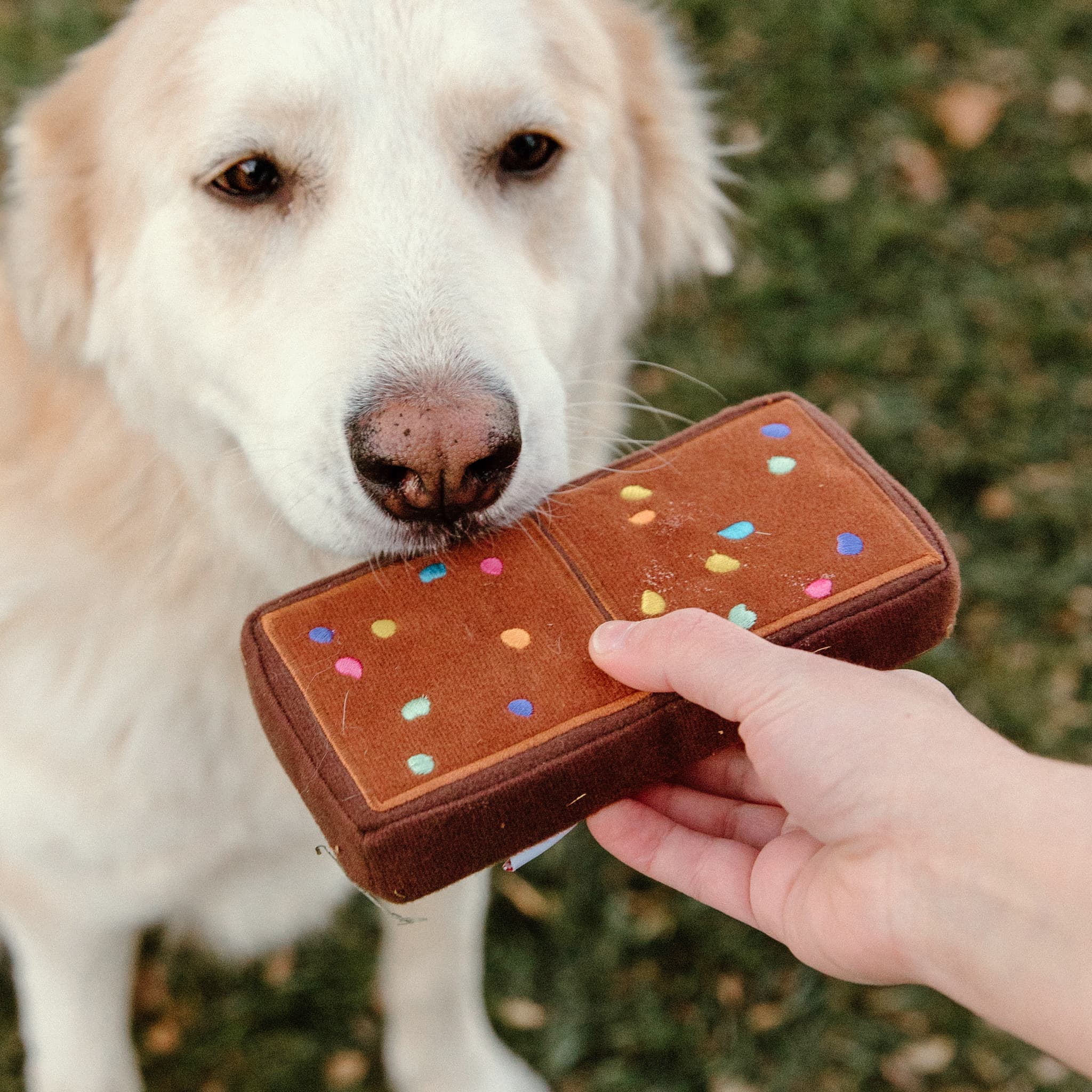 Cosmic® Brownies Small Dog Toy 6 Cosmic® Brownies Small Dog Toy